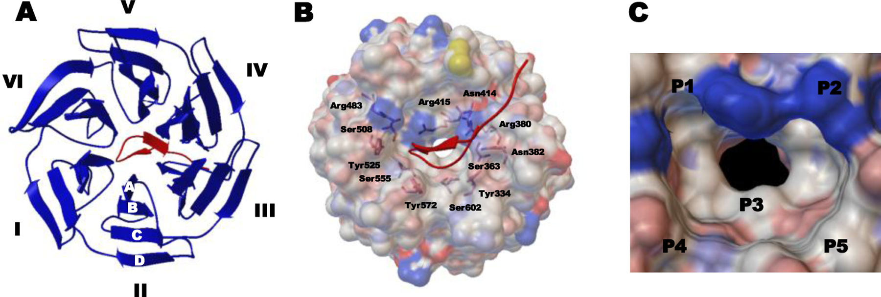 Figure 5.