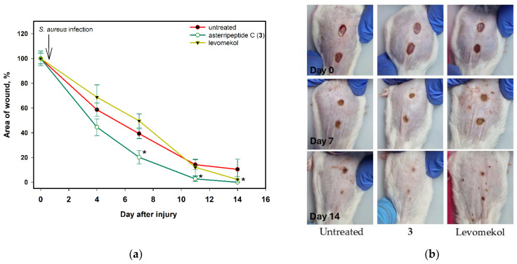 Figure 13