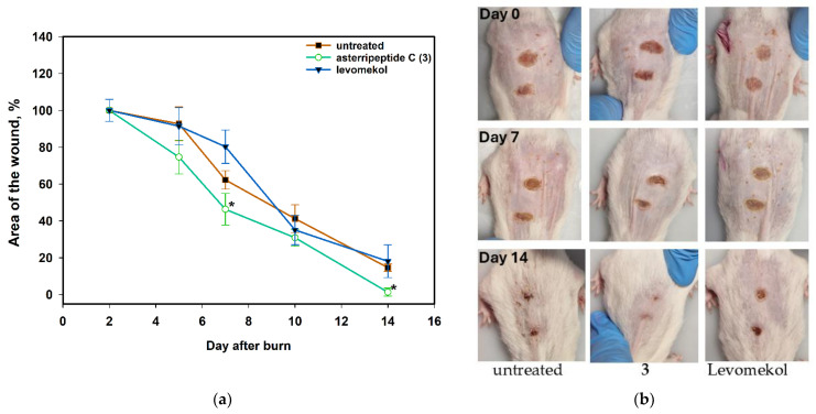 Figure 12