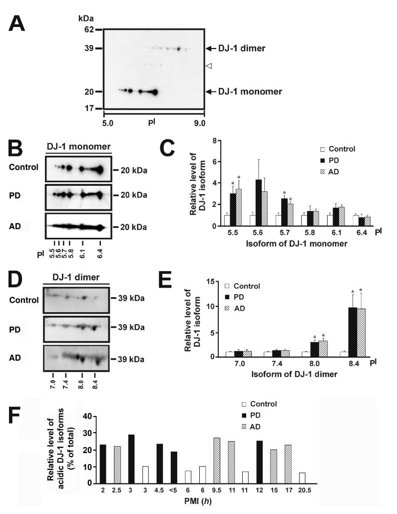 FIGURE 1.