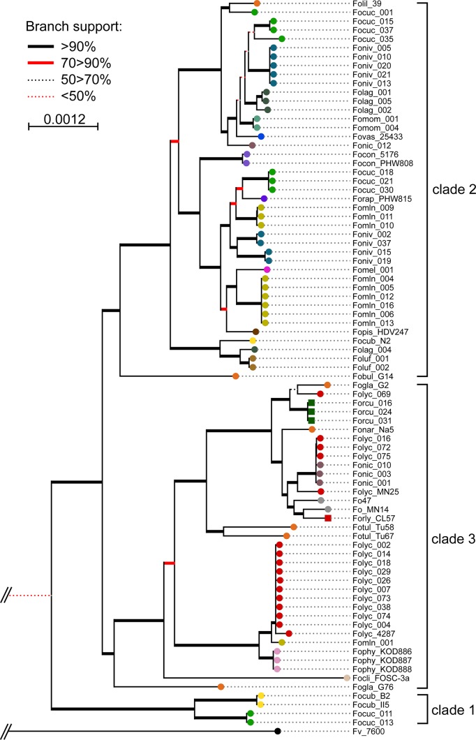 FIG 1