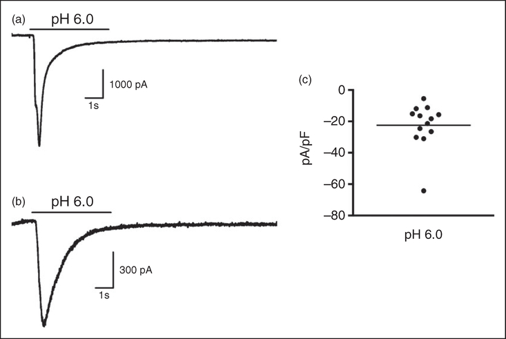 Figure 6.