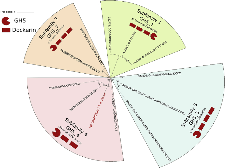 Fig. 2