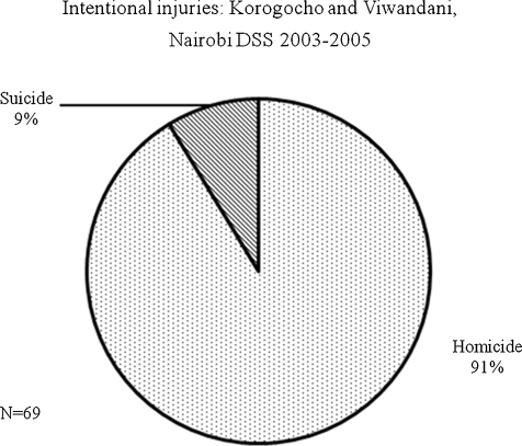 FIGURE 1