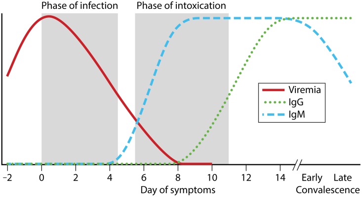 FIG 2