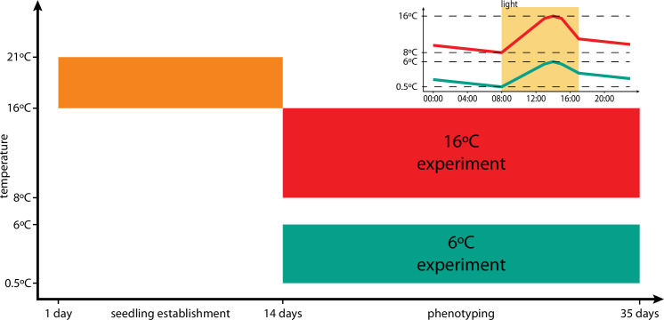 Figure 1—figure supplement 1.