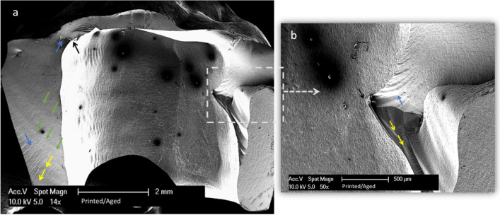 Fig. 6