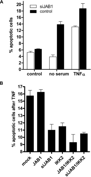 Fig 5