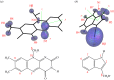 Figure 1.