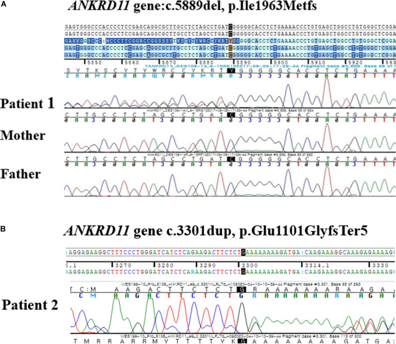 FIGURE 3