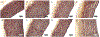 Fig. 6 -