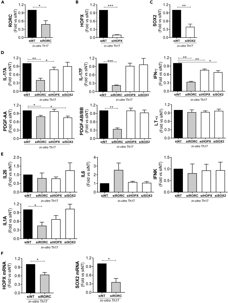 Figure 4