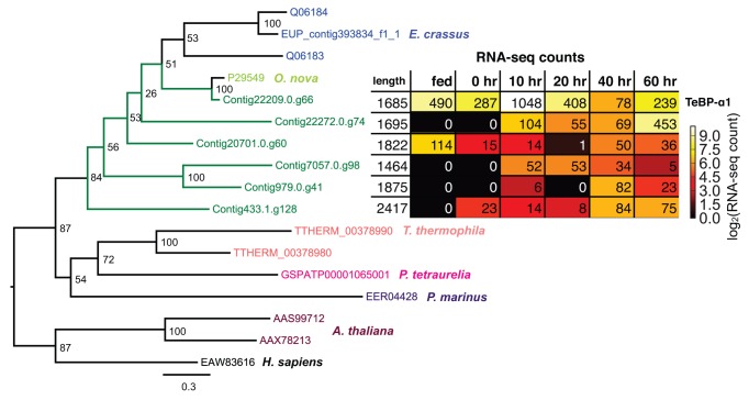 Figure 10