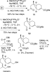 Scheme 3