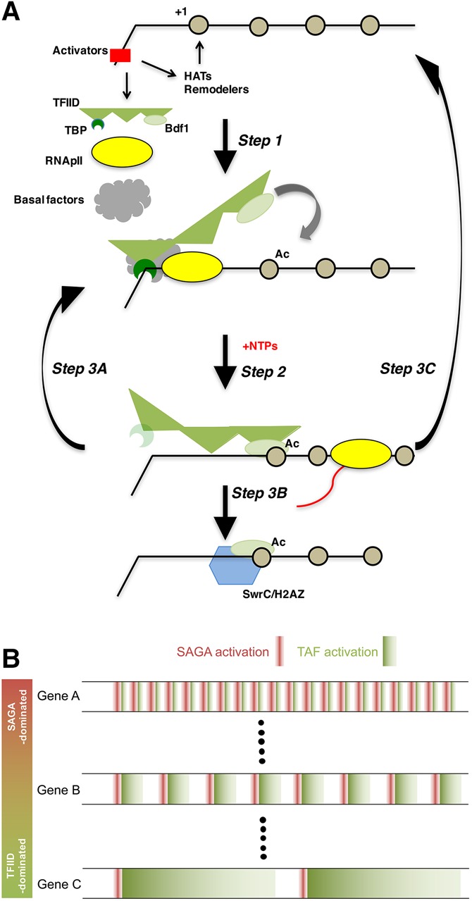 Figure 7.