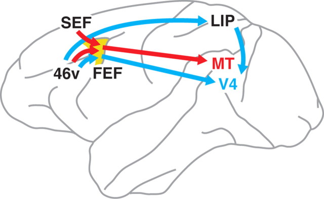 Figure 6.