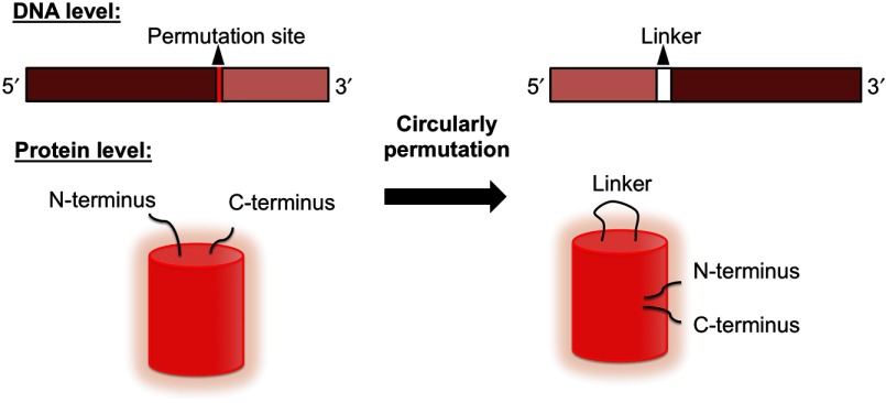 Fig. 8