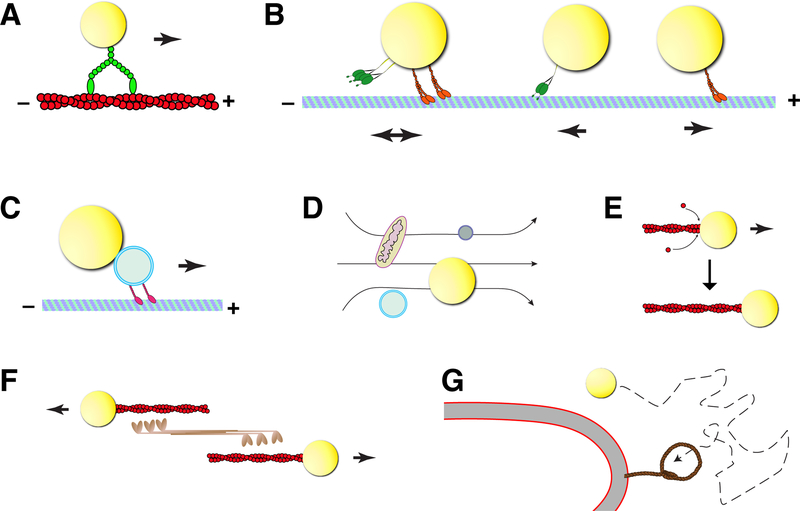 Figure 1: