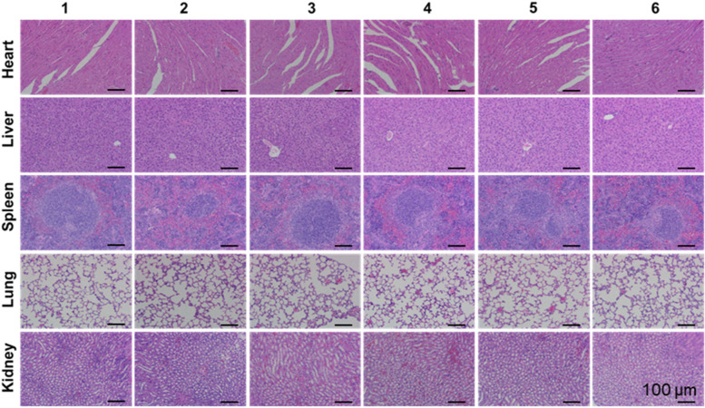 Fig. 8