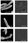 Fig 8