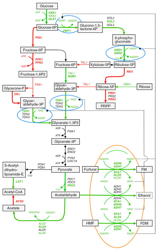 Fig. 6