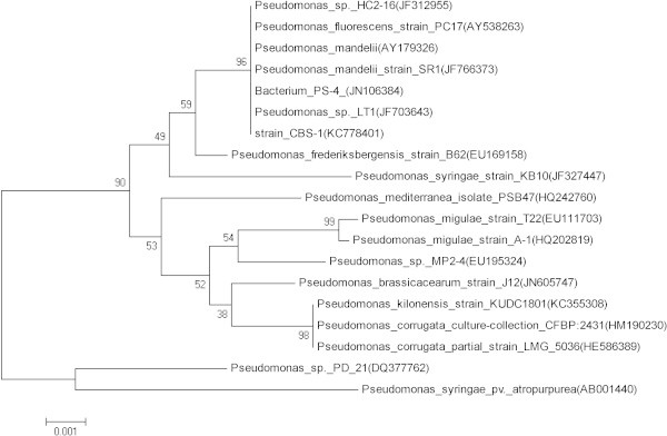 Figure 2