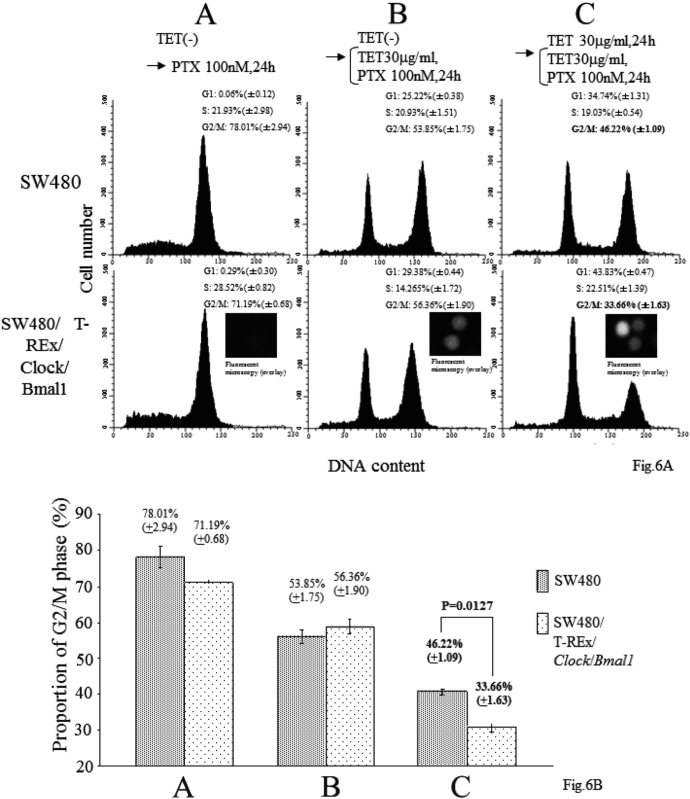 Fig. 6.