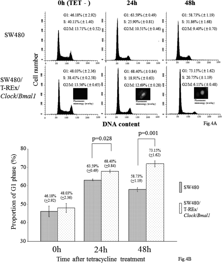 Fig. 4.