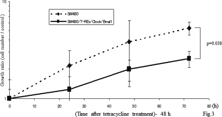 Fig. 3.