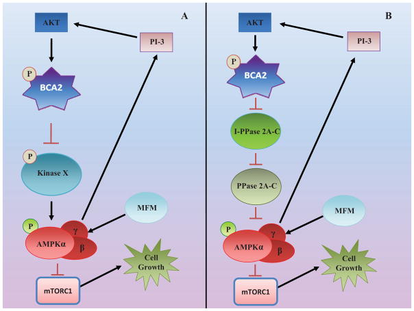 Fig. (2)