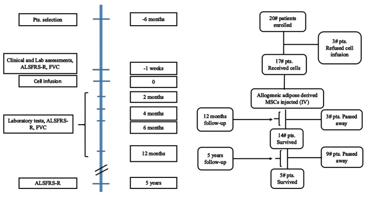 Fig.1