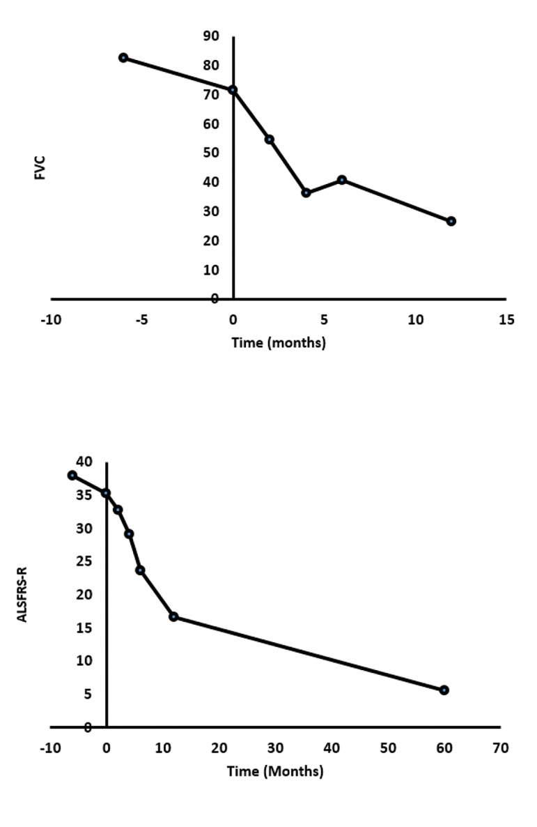 Fig.2