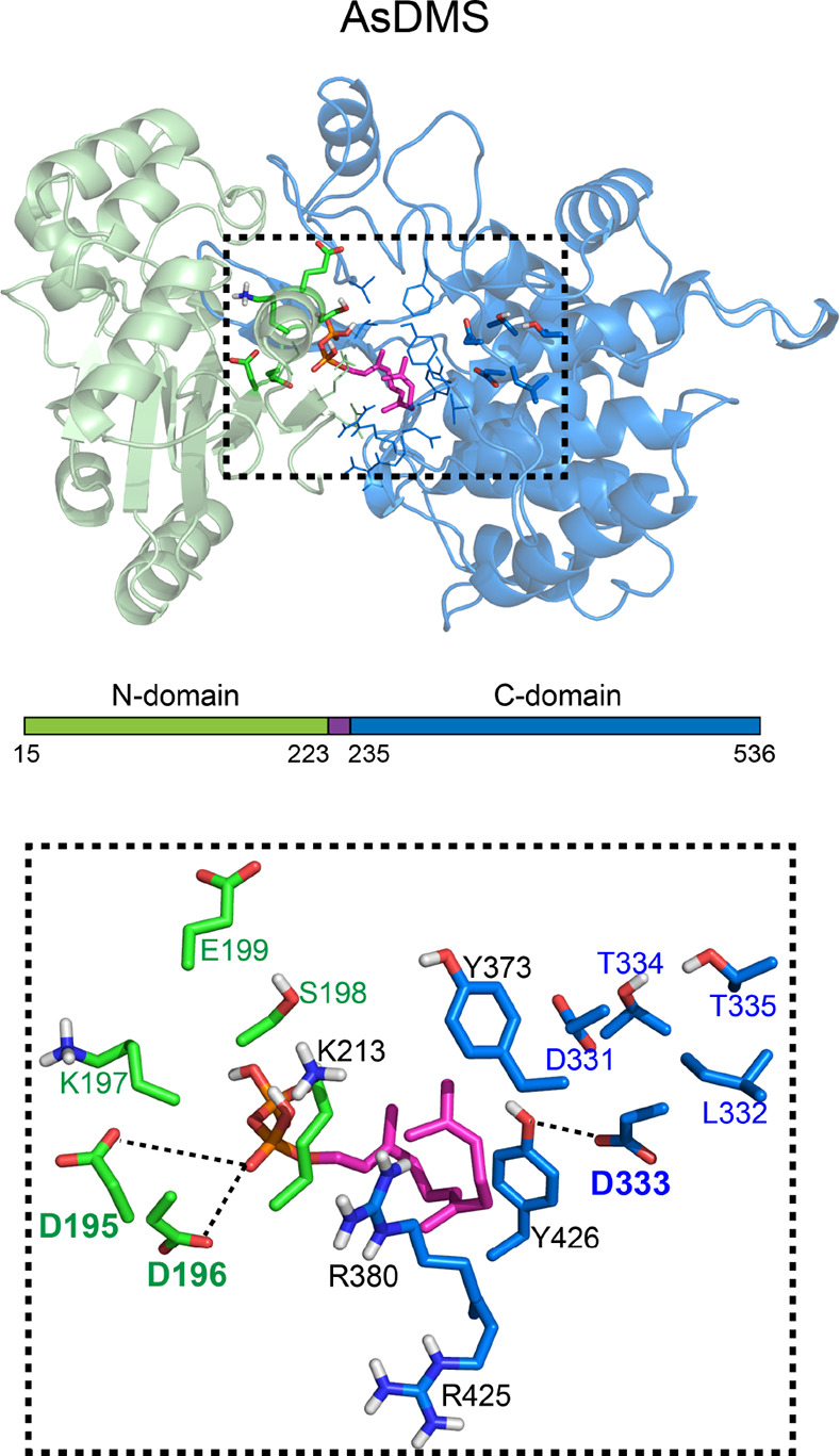 Figure 5