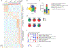 Extended Data Figure 4 |