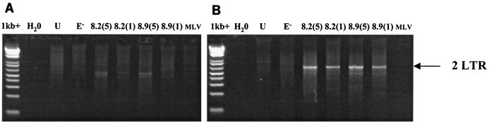 FIG. 5