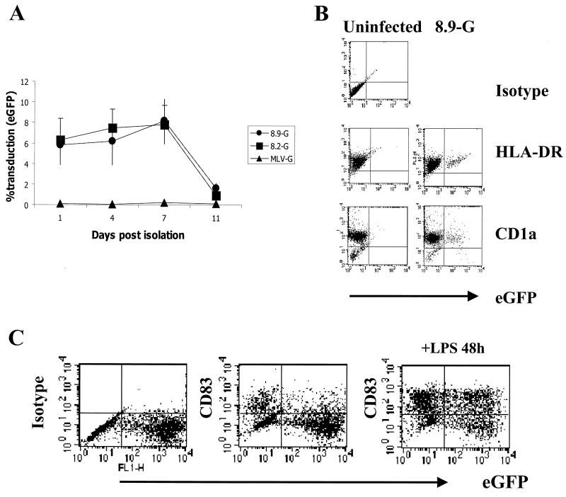 FIG. 6