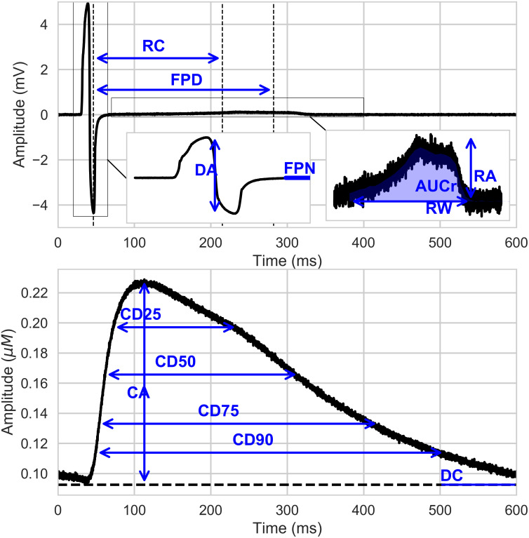 Fig 6