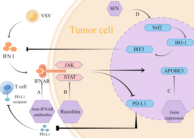 Figure 2