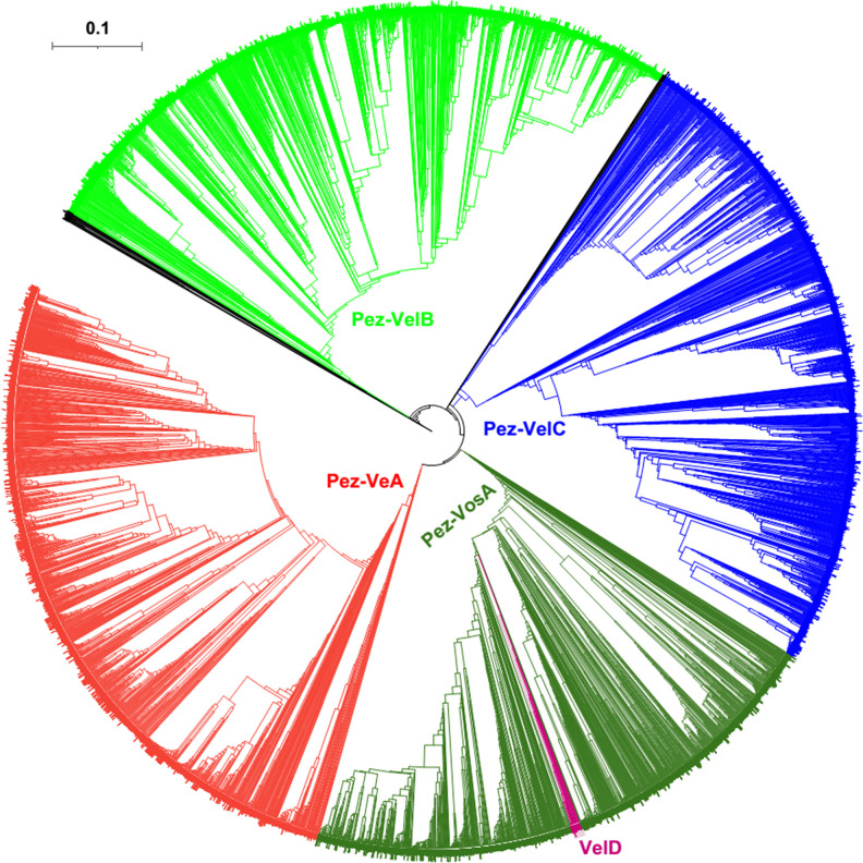 Fig 6