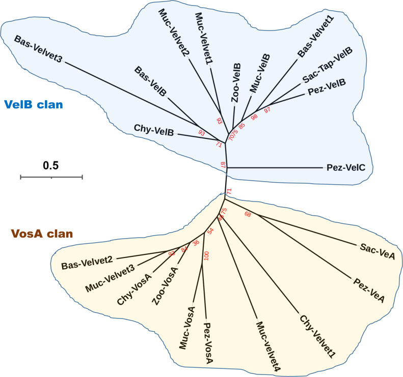 Fig 18