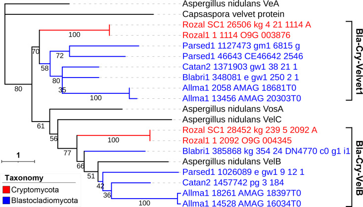 Fig 15