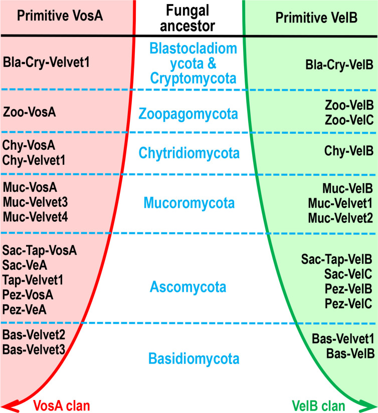 Fig 23