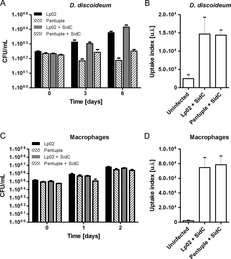 Fig. 2.