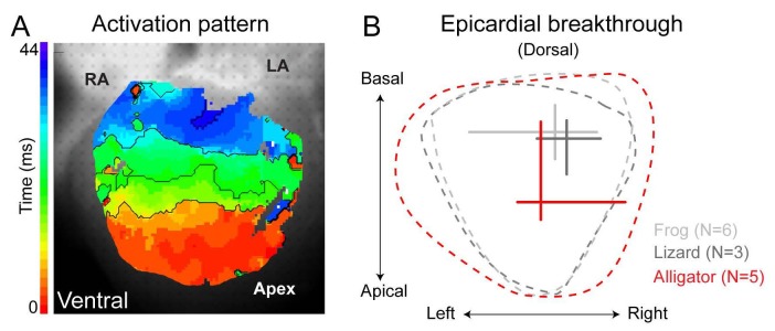 Figure 1—figure supplement 2.