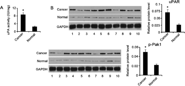 Figure 1.