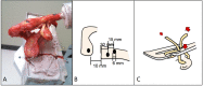 Figure 3.