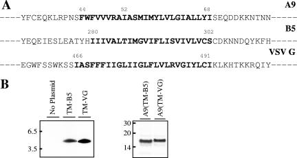 FIG. 5.