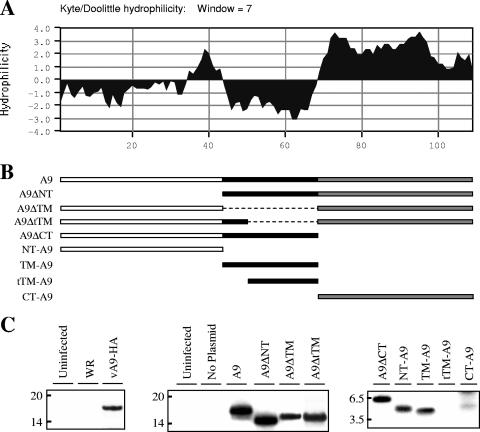 FIG. 1.