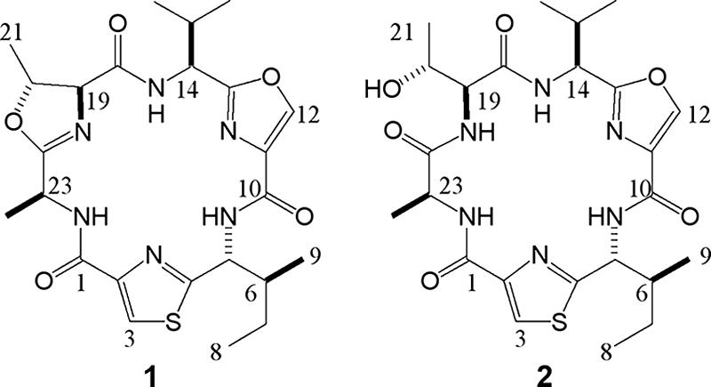 FIG. 2.