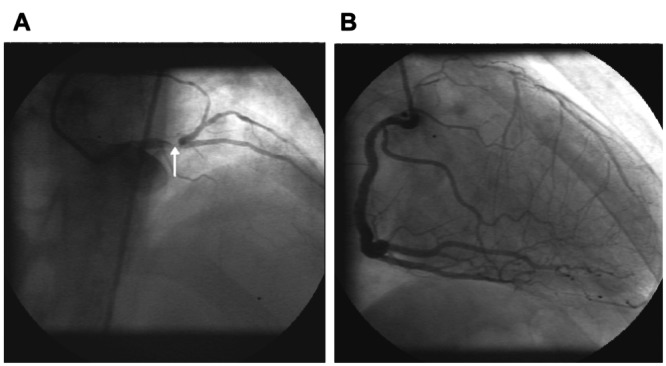 Figure 1)